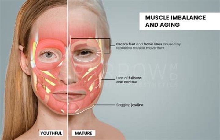 What age does facial structure stop?