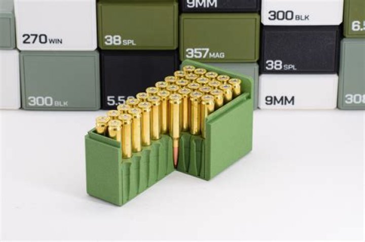 What ammo Should I stockpile?