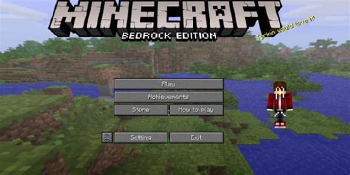 What API does Minecraft bedrock use?