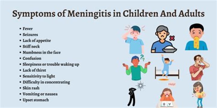 What are 3 treatments of meningitis?