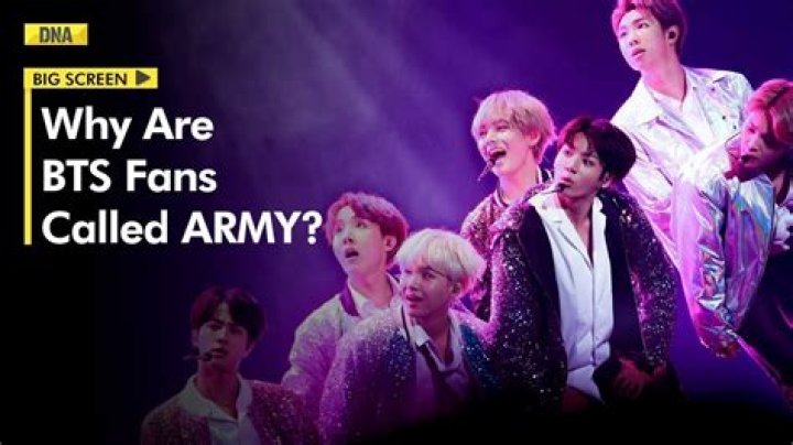 What are BTS fans called?