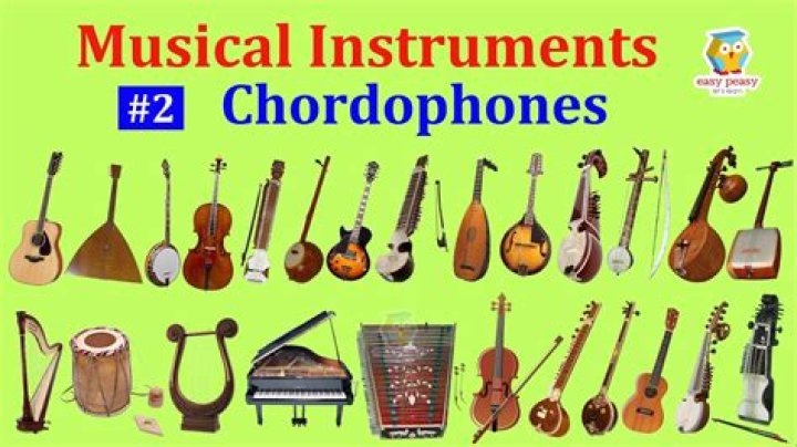 What are chordophone instruments?