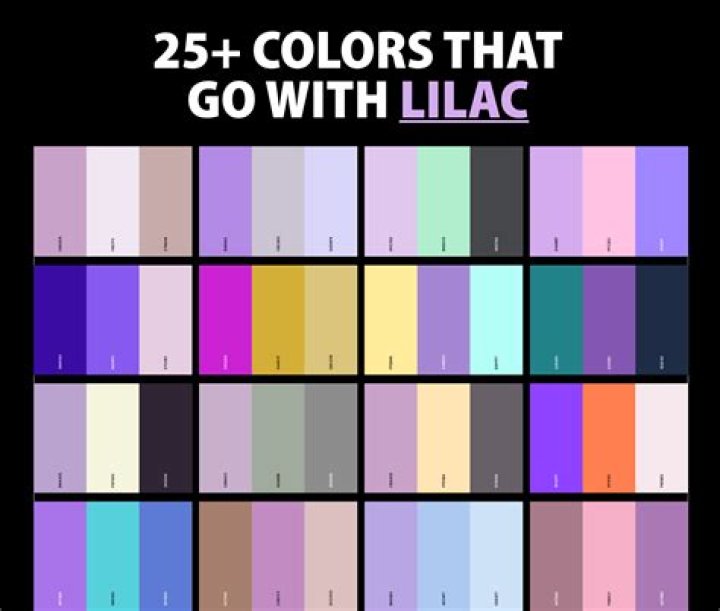 What are NZ colors?