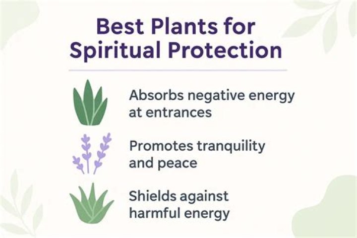 What are spiritual plants?