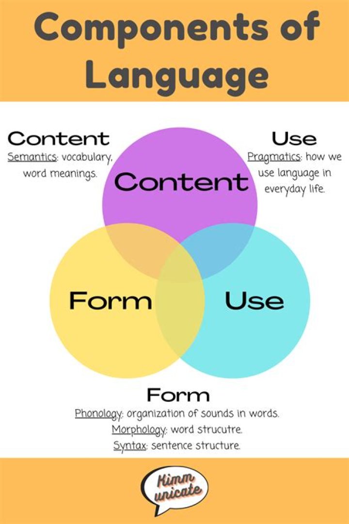What are the 3 components of language?