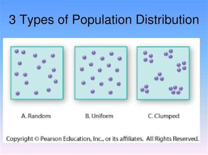 What are the 4 major types of population distribution?