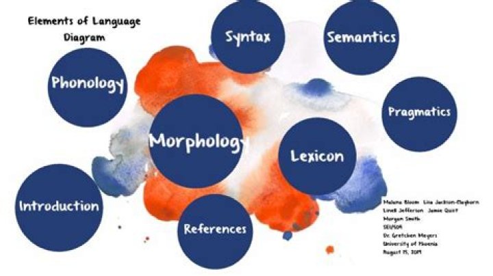 What are the 5 linguistic elements of language?