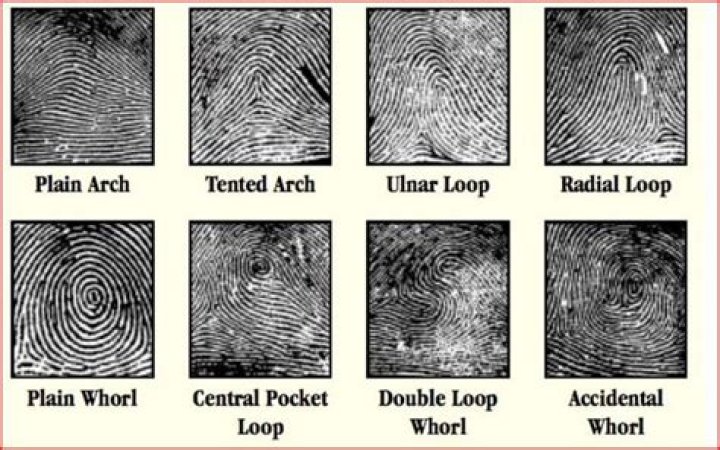 What are the 9 basic fingerprint patterns?
