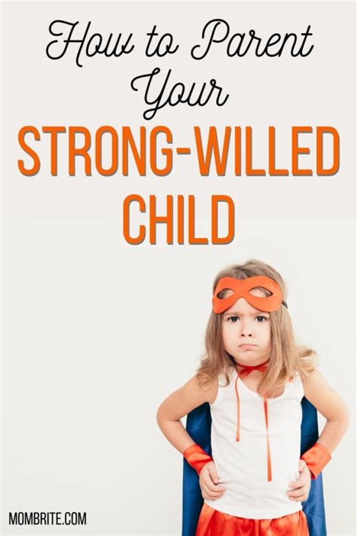 What are the characteristics of a strong willed child?