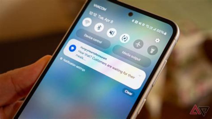What are the notifications on Owlet?
