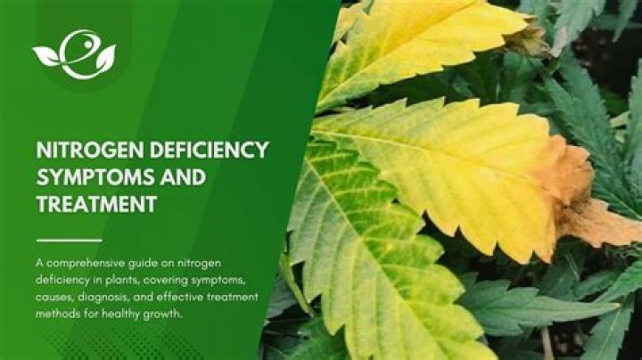 What are the signs of nitrogen deficiency in plants?