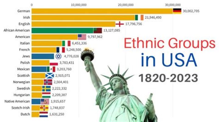 What are the top 3 ethnic groups in the US?