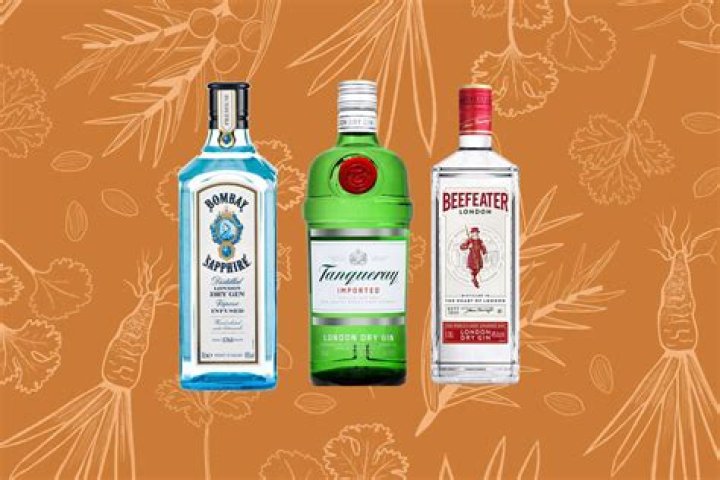 What brand of gin is best?