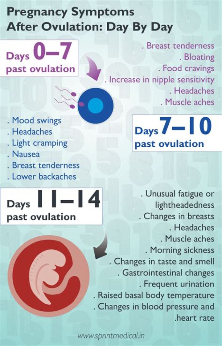 What can I take to boost my ovulation?