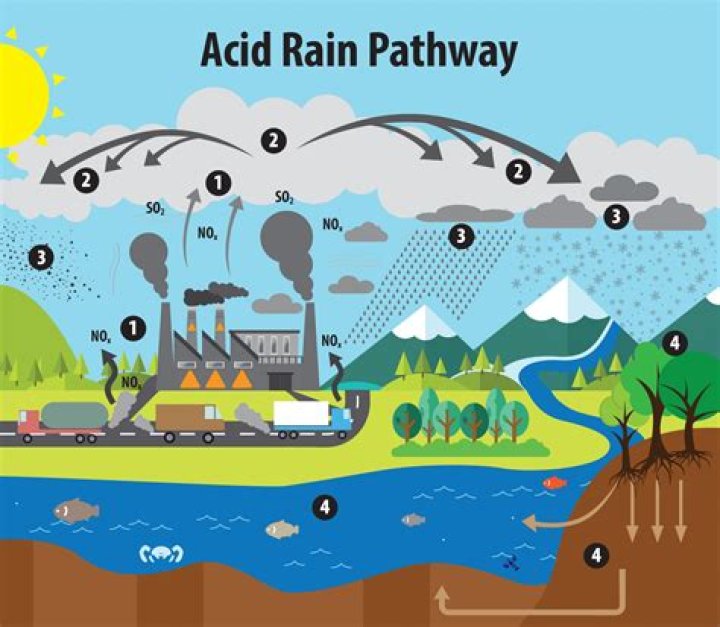 What causes acid rain?