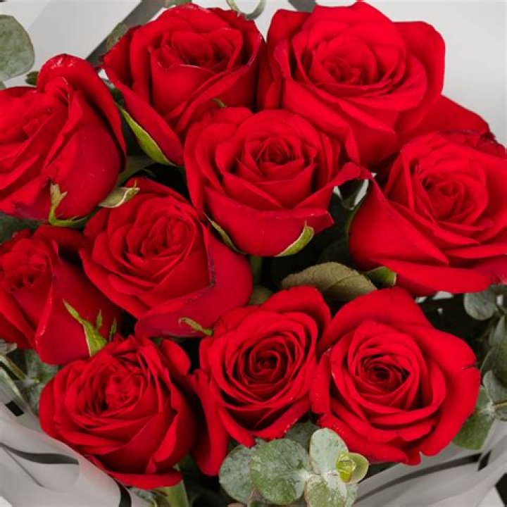 What do 10 red roses mean?