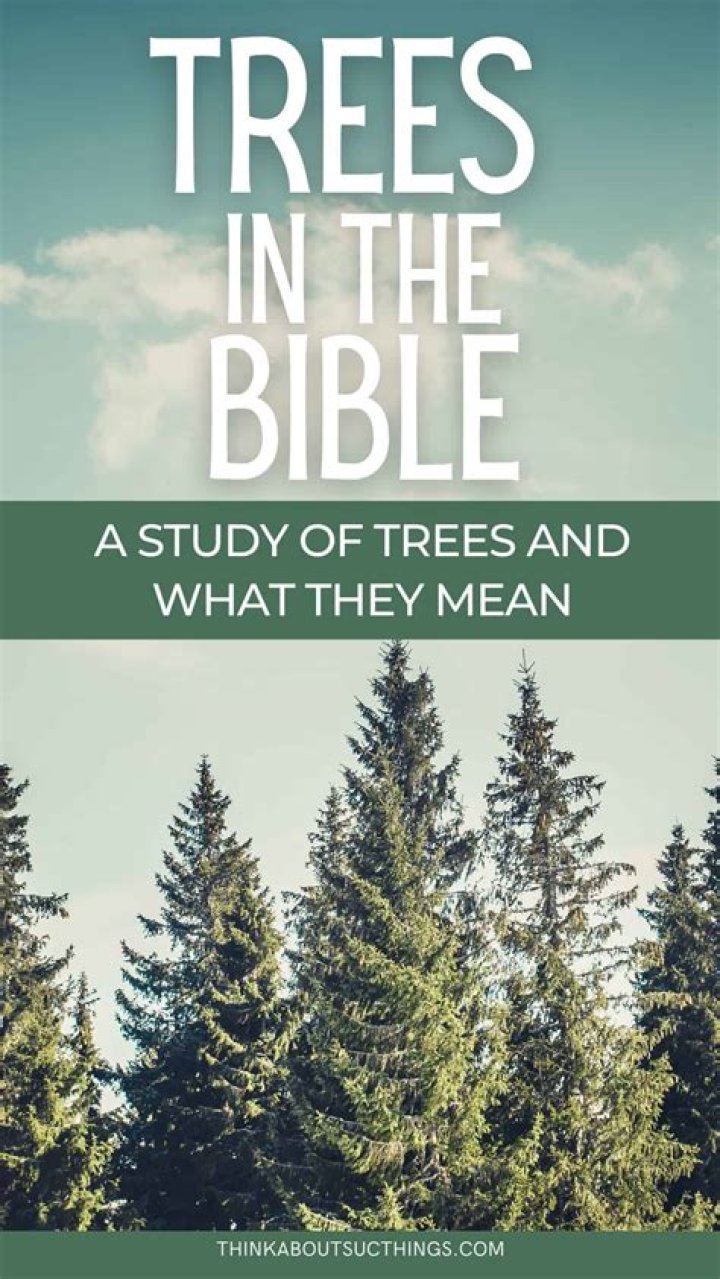 What do trees in the Bible represent?