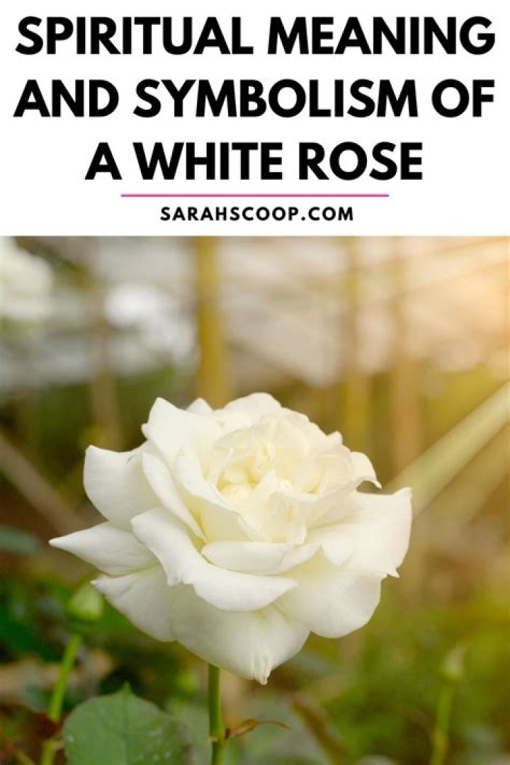What does a rose mean on a medal?