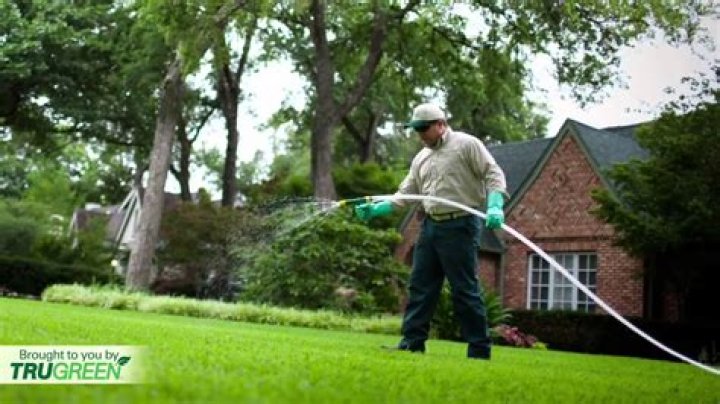 What does TruGreen use on lawns?