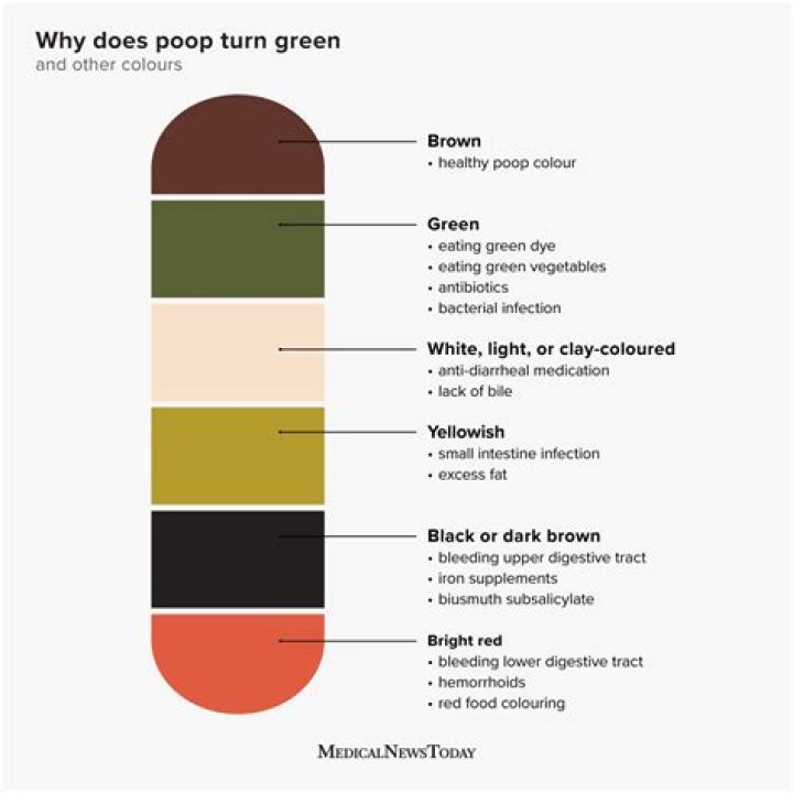 What drinks cause green poop?