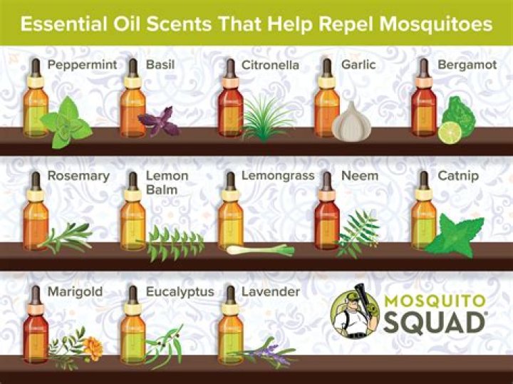 What essential oil do snakes hate?