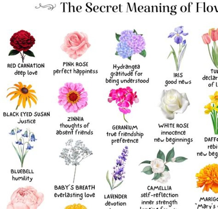 What flower does King smell like?