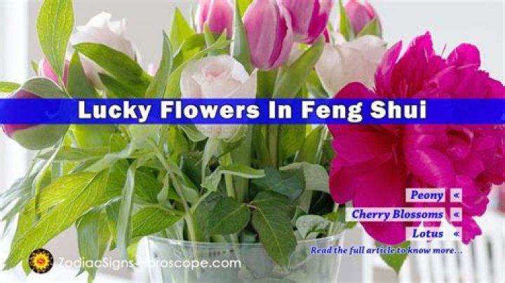 What flower is good luck?