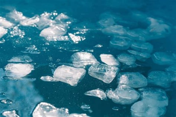 What happens if fish water is too cold?