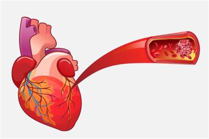 What happens if the heart muscle is damaged?