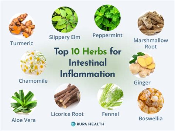 What herbs cure infection?