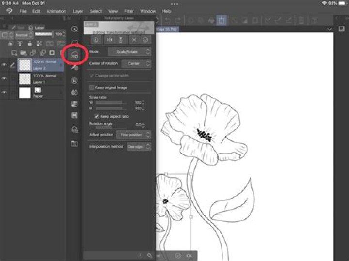 What is a raster layer in clip studio paint?