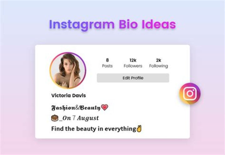 What is bio in Instagram?