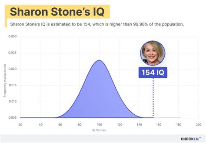 What is Dr. Stone IQ?
