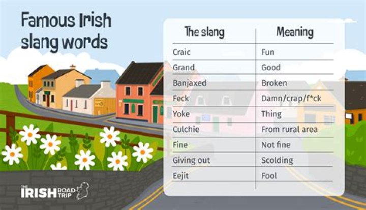 What is lush slang for?