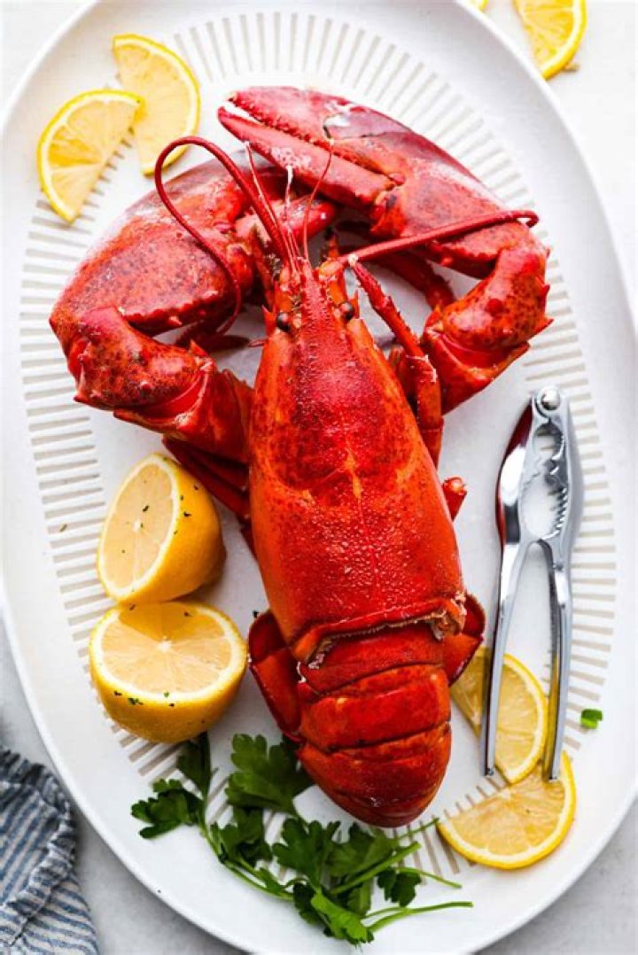What is the best lobster to eat?