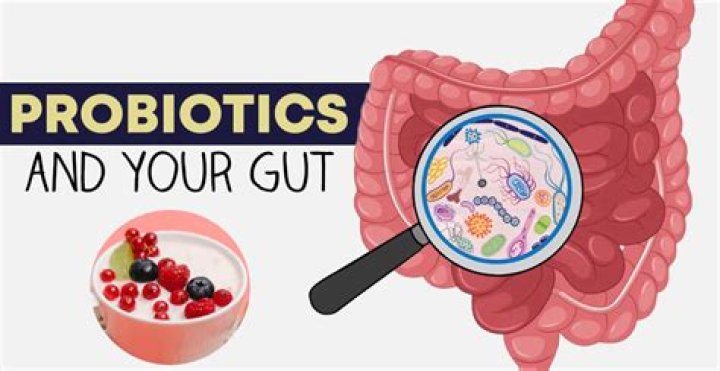 What is the best probiotic for stomach ulcers?