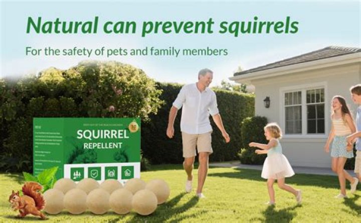 What is the best repellent for squirrels?