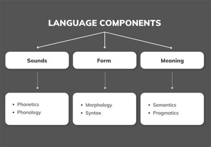 What is the component of English language?
