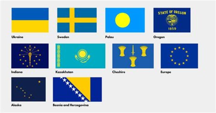What is the flag on the Newcastle crest?