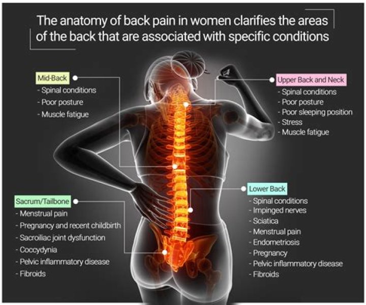 What is the most common cause of back pain?
