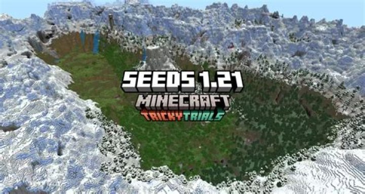What is the rarest Minecraft seed?