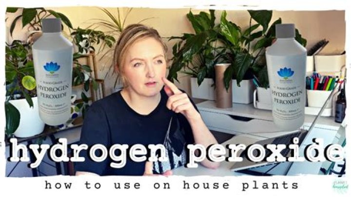 What is the ratio of hydrogen peroxide to water for plants?