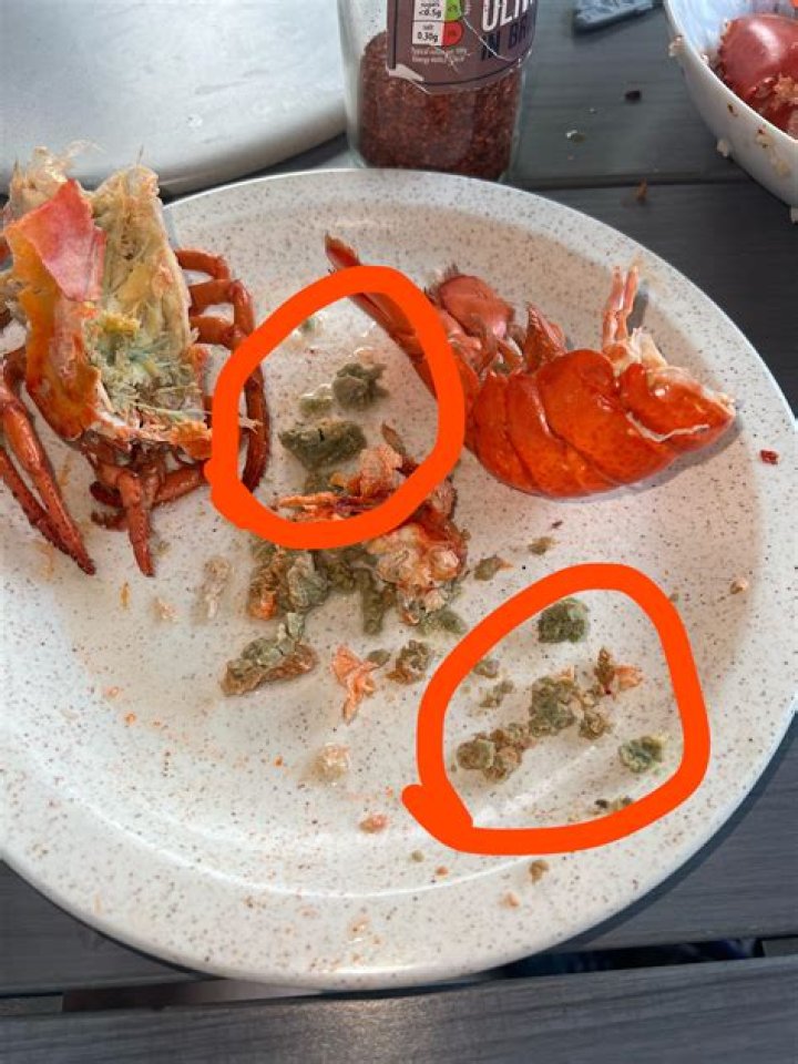 What is the red stuff inside the lobster?
