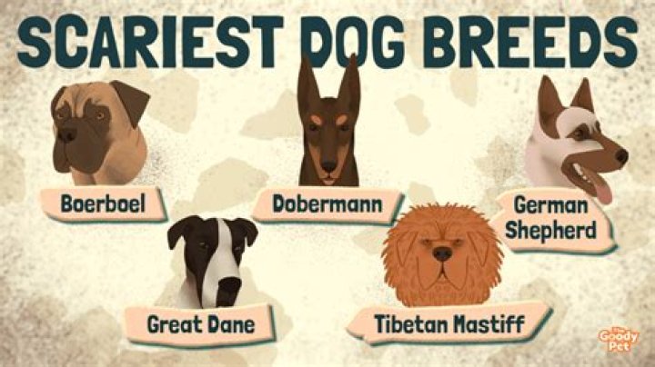 What is the scariest dog name?