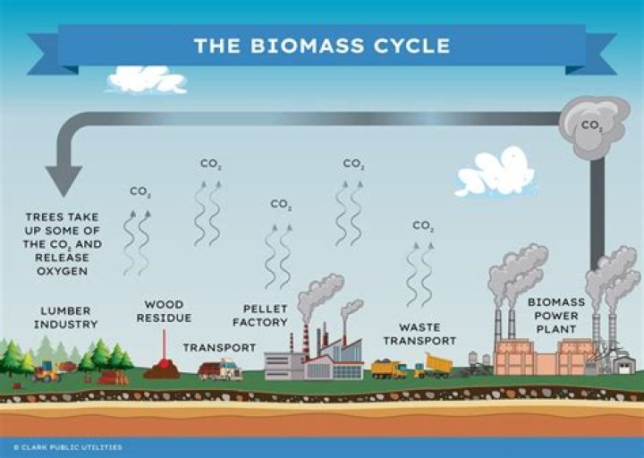 What makes biomass sustainable?