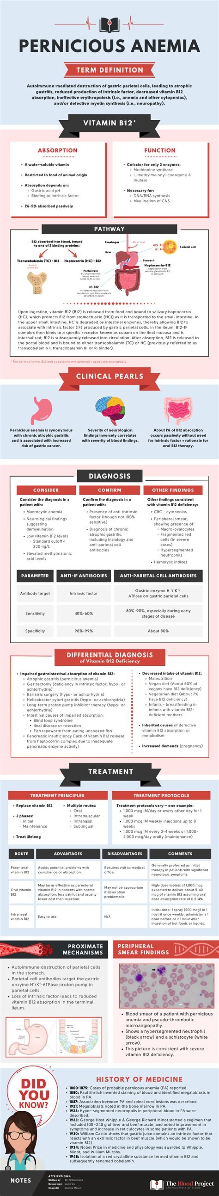 What triggers pernicious anemia?