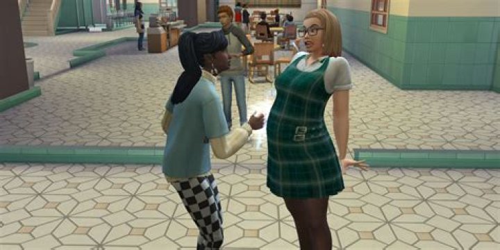 What will be in Sims 5?