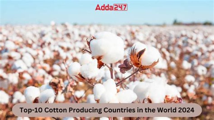 Which is the best cotton in the world?