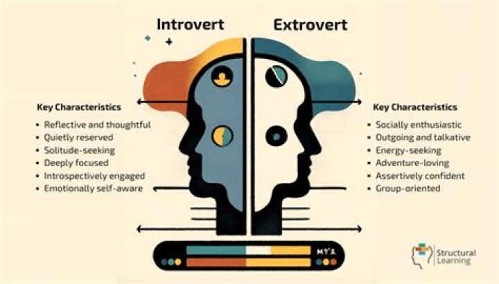 Which MBTI is most introverted?