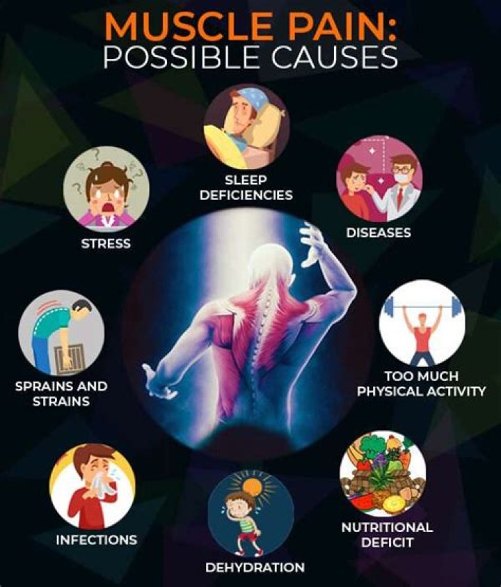 Which parasite causes muscle joint and pain?
